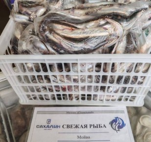 ������, ������� � ��������� ������� � ����-����������