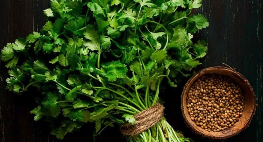 �����: ���������� �������� � ��������� ��������