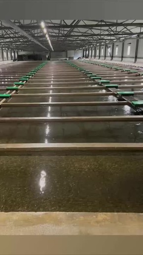 ��� ������ �� ���������� ������� ������� ������� �� ����