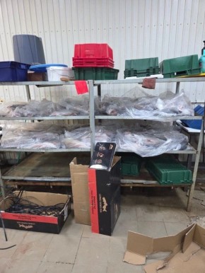 ������ ����-���������� �������� ������ ��� ����� ������� ������