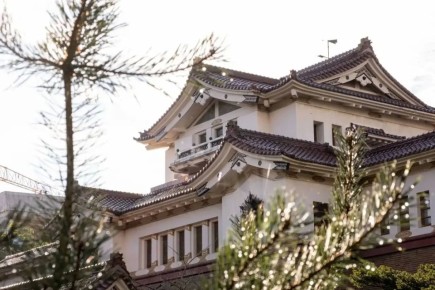 ������ ����, ����-���������!