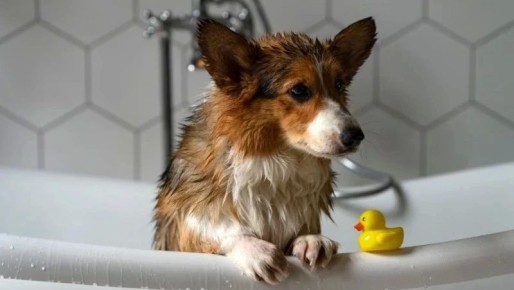 ��������� � ������� ���� �������� �� ���������� ������ ����-���������� 29 ������