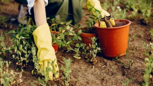 ������ ��������� �������� � ���������� �� ��� 2026 ����: ����� ������ �����, ����� � �������