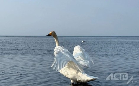 ����� ������ �����������: �� ��� �������� ������� ���������