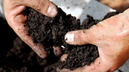 �����: ������ ��� �������, ��-�� ������� �� ����� ������������ �� ������