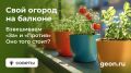 ��������� ������: ��� ������� ����� ������ � ��������� ��������