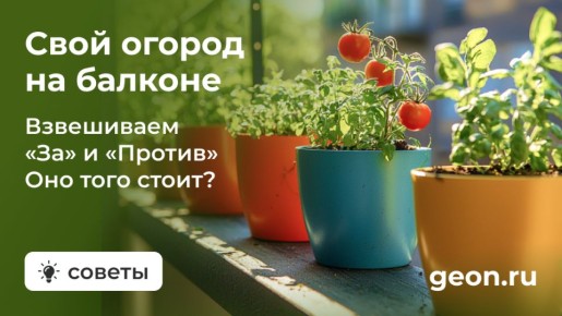 ��������� ������: ��� ������� ����� ������ � ��������� ��������