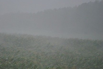 ������ � ��������� ����� ��������� �� ������ � ��������������