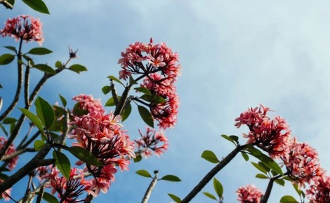 �����, �� �������: ��������� �������� ������� ��� ����������� ������� �� 1 ���