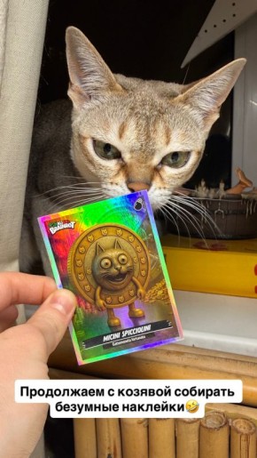 ����� ���� ���������� ������� ��������