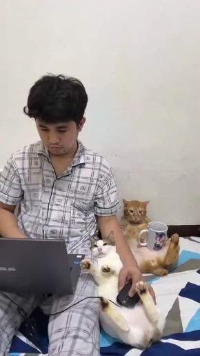 ������ ����, �������. 6 ��� � ���� �������� ������������� ���� ������ �����