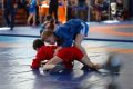 � ����-���������� ������ ������������ ��������� �����������, ����������� ������� ������