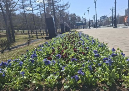 ����� ����������� ��� ������ � ����������� ������� ������ ����� �� + 20 ��������
