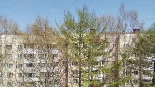� ����-���������� 12 ��� ����� ��-������� �����