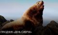 День сивуча отметят в Невельске