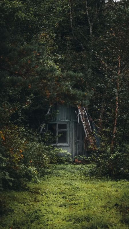 Холмчанин стал участником престижного фотоконкурса Холмчанин стал участником престижного фотоконкурса