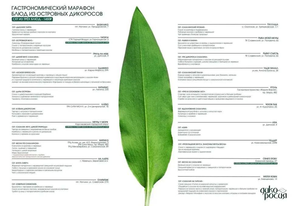 25 мая стартует гастромарафон «Дикоросия» 25 мая стартует гастромарафон «Дикоросия»