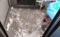 ���� ���������� � �������� ������������� ������� ������������ ������ � ����-����������