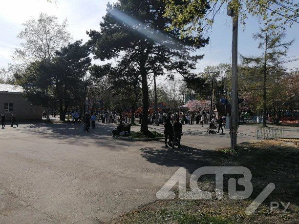 Посетители парка в Южно-Сахалинске простояли в огромной очереди за билетами на аттракционы Посетители парка в Южно-Сахалинске простояли в огромной очереди за билетами на аттракционы