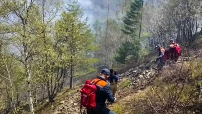 Больше 60 футбольных полей: в Сахалинской области подсчитали площадь сгоревшей при палах травы