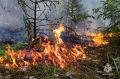 Береги природу!. С начала года огнеборнцы и спасатели Сахалинской области ликвидировали 80 ландшафтных пожаров Сгорело более 61 Га сухой травянистой растительности