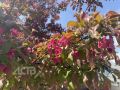 Летнее тепло вернётся на Сахалин в праздничные выходные