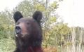 "������ �� ���� ���������": ����� �� �������� �������� � �������� �� ���� � ��������� � ��� � �����
