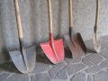 Почему ваша лопата может уничтожать урожай: пересмотр традиций садоводства