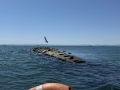 Затонувшую подводную лодку 1933 года постройки готовят к подъему из акватории Анинивского залива вблизи Корсакова