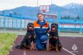 Чрезвычайное чутье спасает жизни