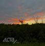 На Сахалине до +22°C, а на Курилах дожди и ветер: прогноз на 23 июня