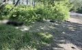 Труп обнаружили на берегу реки в Южно-Сахалинске