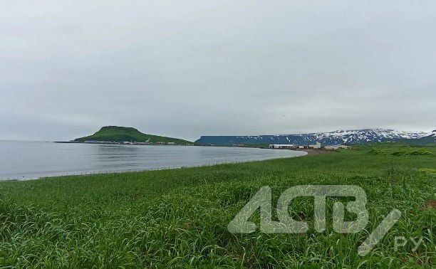 "Гул и треск в стенах": два землетрясения с разницей в несколько часов произошли на Курилах