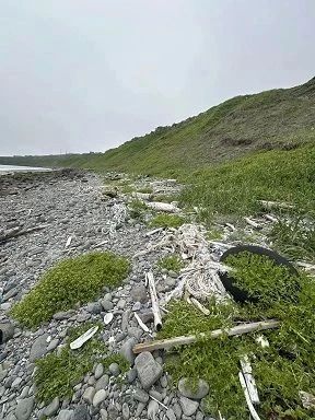 Члены участковых избирательных комиссий Южных Курил в акции «Вода России» Члены участковых избирательных комиссий Южных Курил в акции «Вода России»