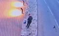 Вандалы воруют цветы и громят набережную в Корсакове