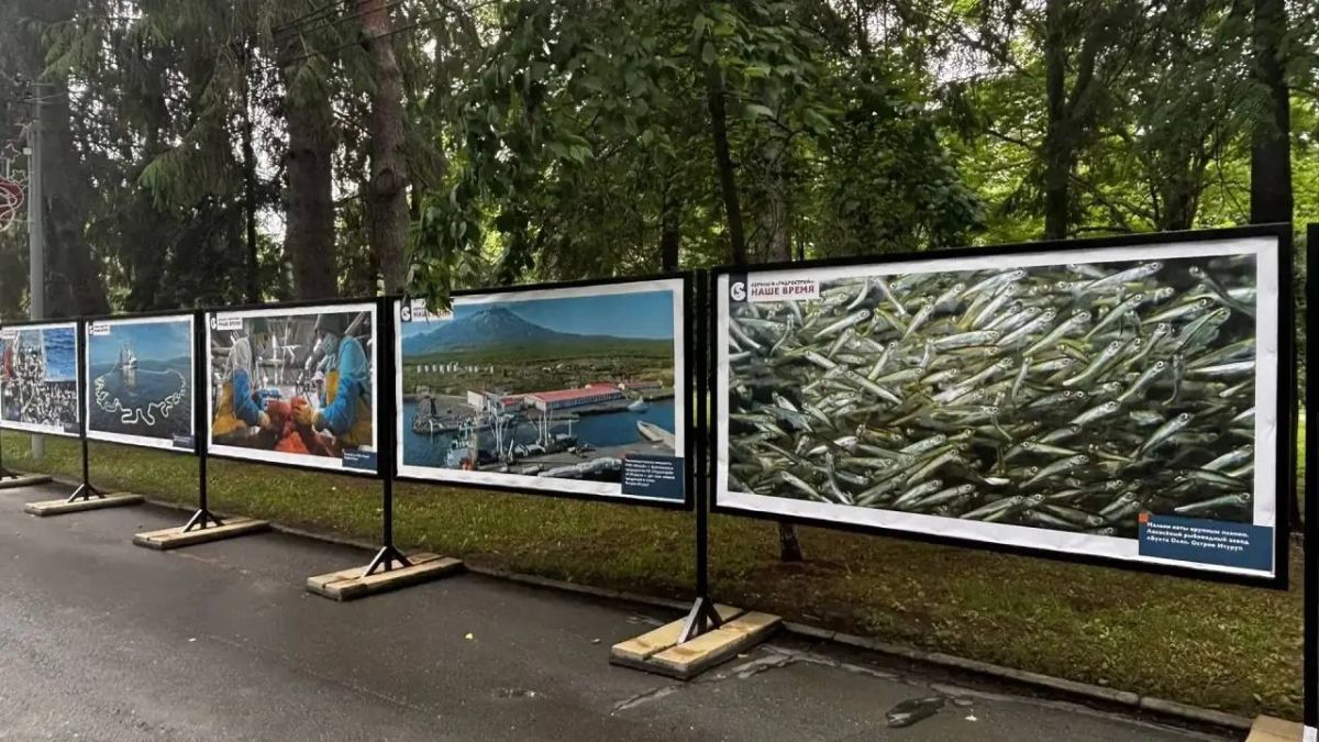 О жизни большого рыбопромышленного предприятия и тех, кто работает в море, рассказывает новая фотовыставка О жизни большого рыбопромышленного предприятия и тех, кто работает в море, рассказывает новая фотовыставка