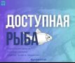 11 июля торговля свежей рыбой по социальным ценам в Южно-Сахалинске организована по следующим адресам: