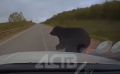 ������� �������� ��� ������ ���������� �� ������ � ����������� ������