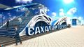 Технологии будущего представит на ВЭФ-2026 Сахалинская область