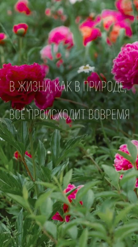 Добавим настроения в этот пасмурный день Добавим настроения в этот пасмурный день