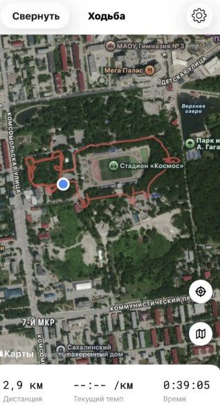 Сахалинцы "нарисовали" медведей, сердца и велосипеды на картах Сахалинцы "нарисовали" медведей, сердца и велосипеды на картах