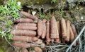 Гранаты и реактивные снаряды: как военные ведут разминирование курильского острова Шумшу