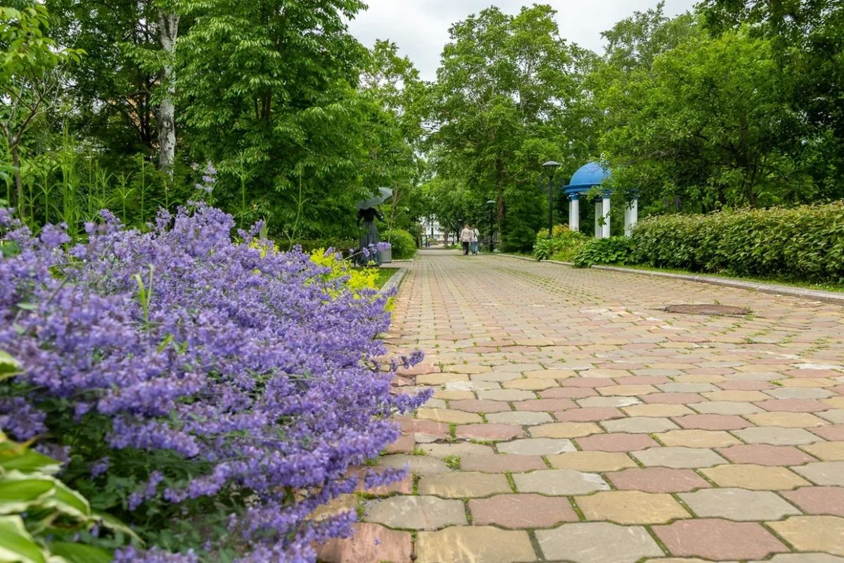 Доброе утро, Южно-Сахалинск! Доброе утро, Южно-Сахалинск!