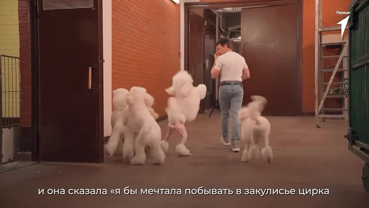 Исполняем детские мечты. Движение Первых реализует Всероссийский проект «Мечтай со мной», который помогает исполнять заветные нематериальные желания детей от 6 до 17 лет с состоянием здоровья, угрожающим жизни