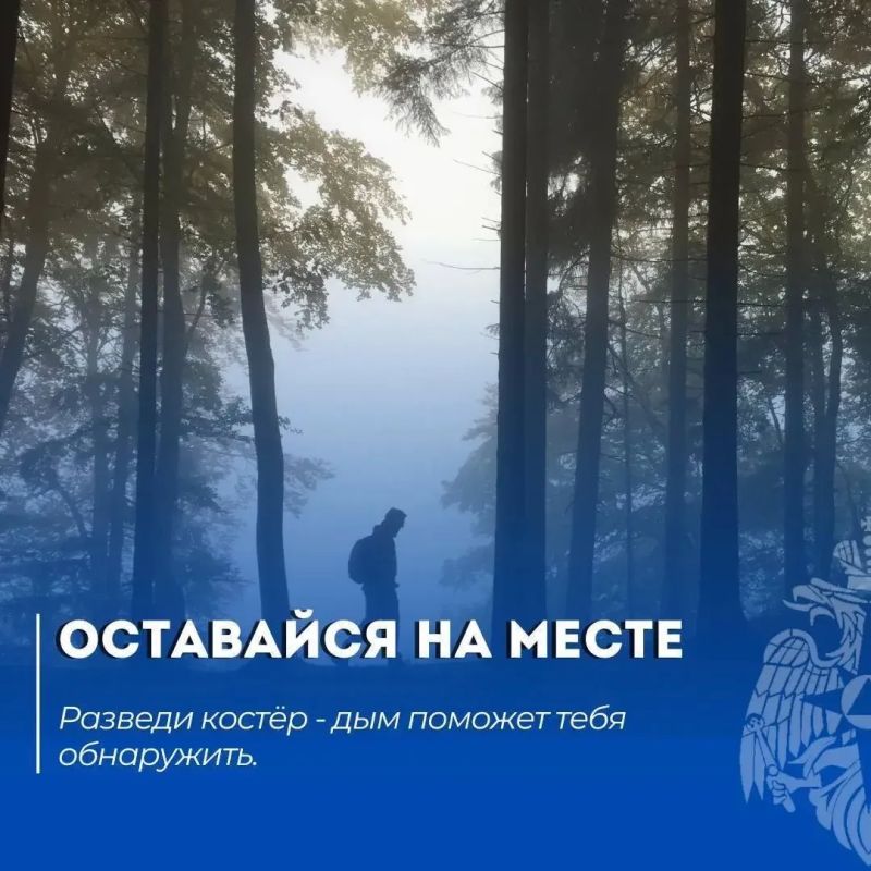 Что делать, если потерялся в лесу Что делать, если потерялся в лесу