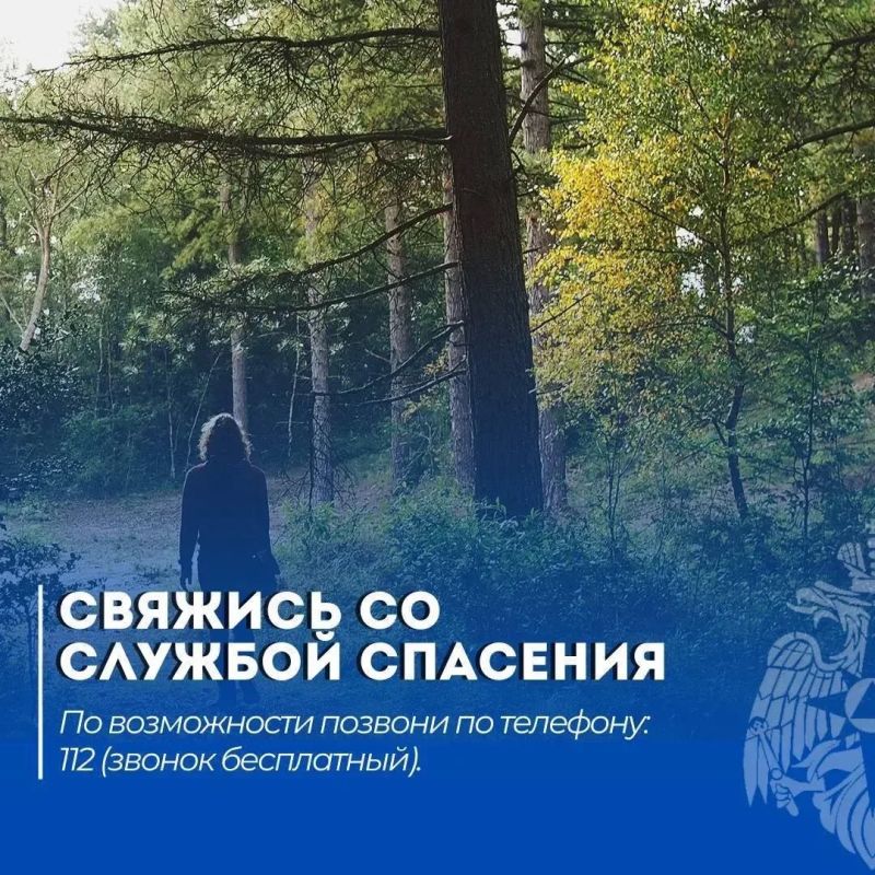 Что делать, если потерялся в лесу Что делать, если потерялся в лесу
