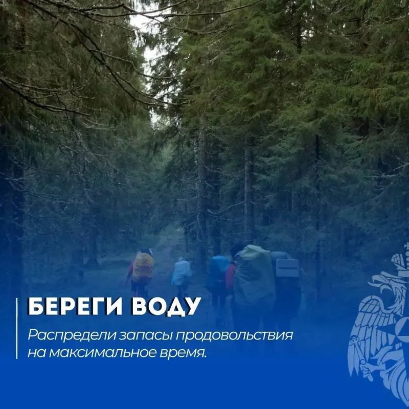 Что делать, если потерялся в лесу Что делать, если потерялся в лесу