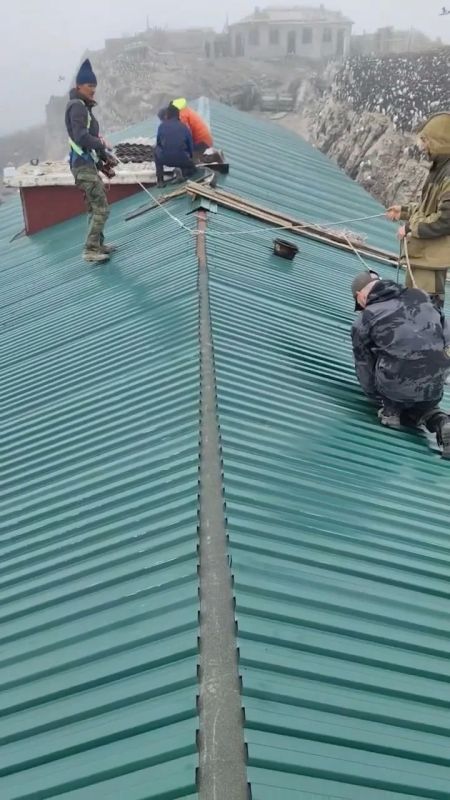 Евгений Лотин принял участие в волонтерской экспедиции на остров Тюлений Евгений Лотин принял участие в волонтерской экспедиции на остров Тюлений