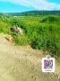 в Александровск-Сахалинском районе