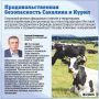 Сахалин кормит себя. Несмотря на сложный климат, аграрии региона выращивают всё больше своих продуктов